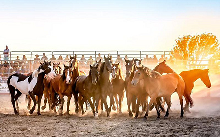 Pond Hill Ranch